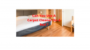 Can You Use A Carpet Cleaner On A Bed