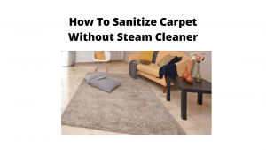 How To Sanitize Carpet Without Steam Cleaner